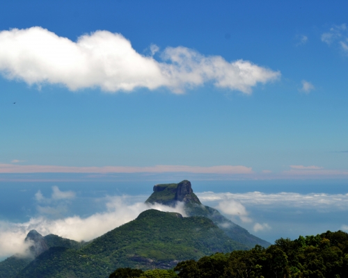 Tijuca Forest