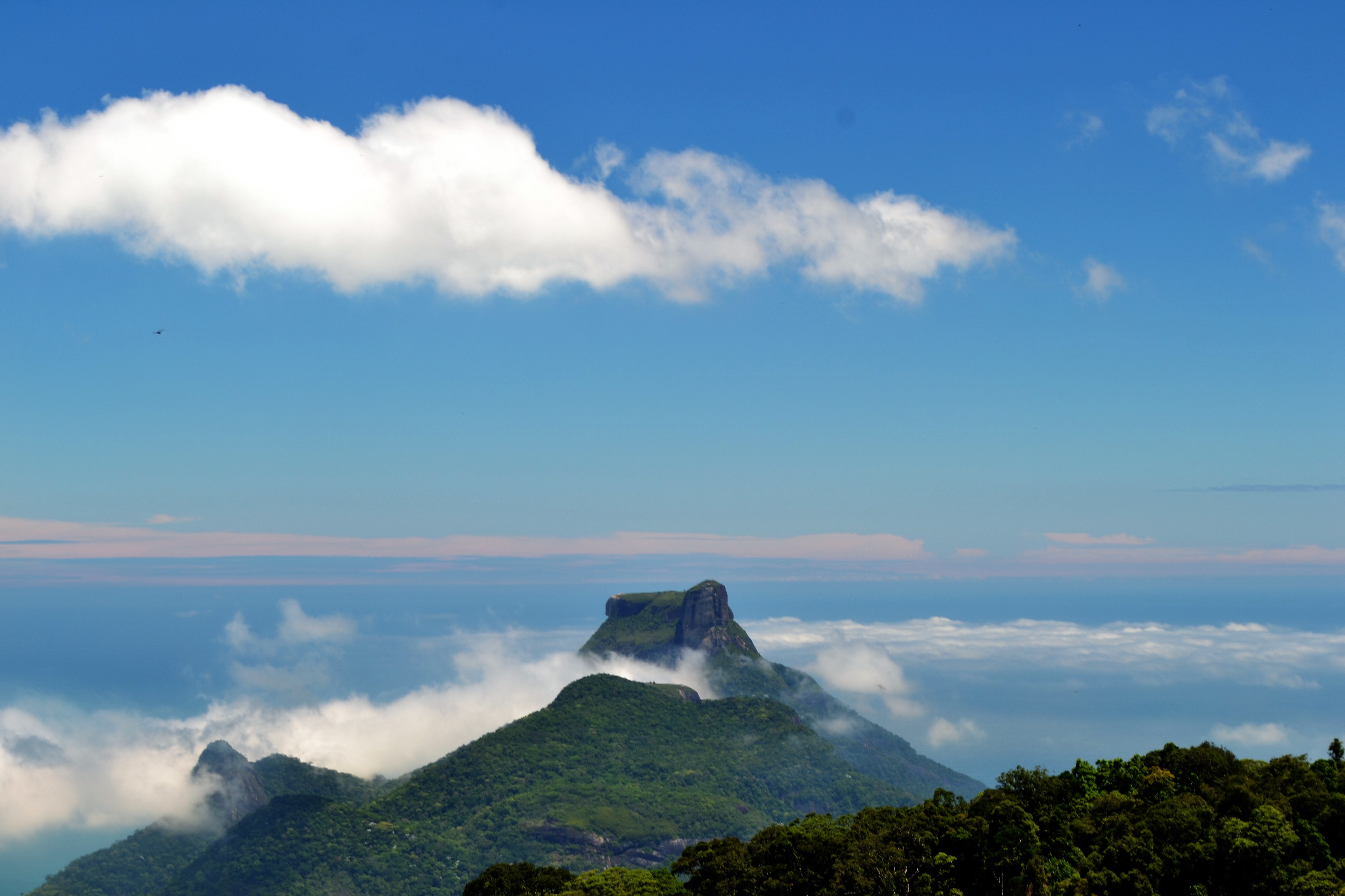 Tijuca Forest RioTravel