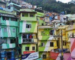 Santa Marta Favela